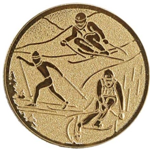 Skiën (3 posities)