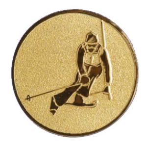 Skiën slalom