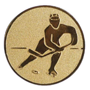 Ijshockey
