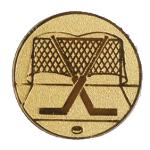 Ijshockeydoel