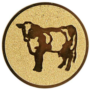 Koe