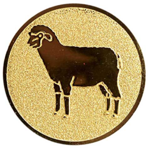 Schaap
