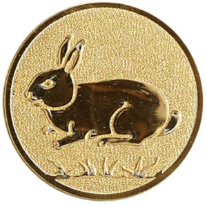 Konijn (Korte oren)