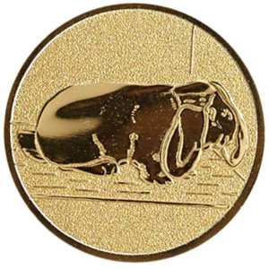 Konijn (Lange oren)