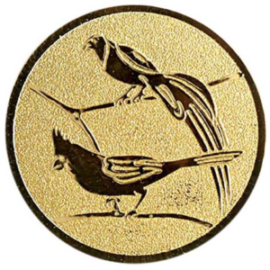 Tropische vogels