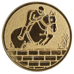 Paardrijden springen met paard