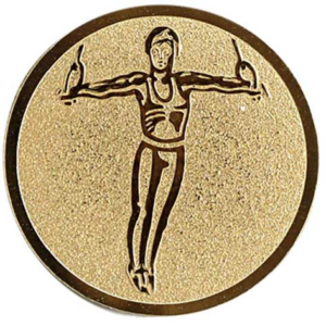 Gymnastiek ringen