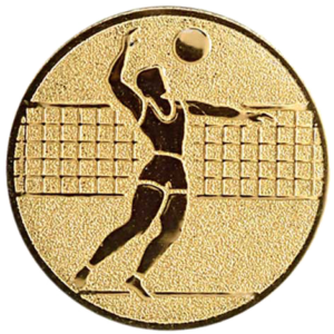 Volleybal heren