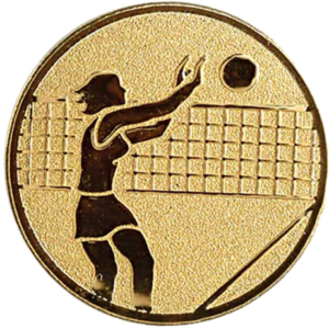 Volleybal dames