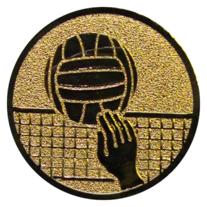 Volleybal