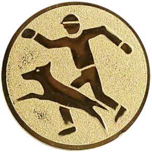 Hondensport