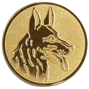 Hond